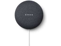 Google Nest Mini Assistant — image 1